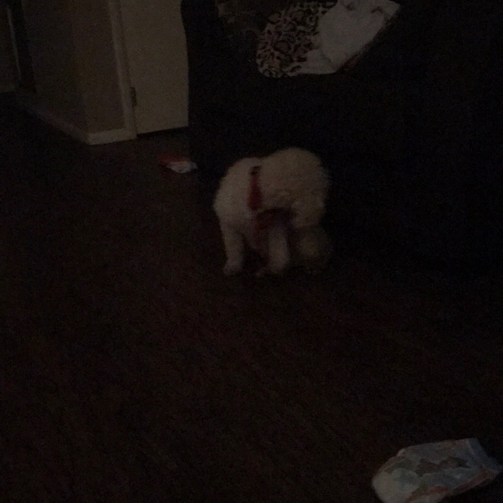 Meet your Posher, Christy